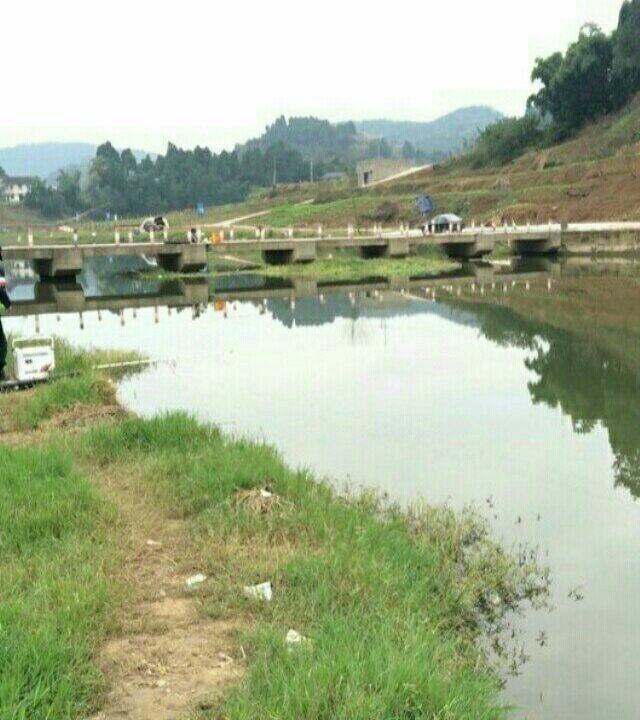 简阳大桥钓场