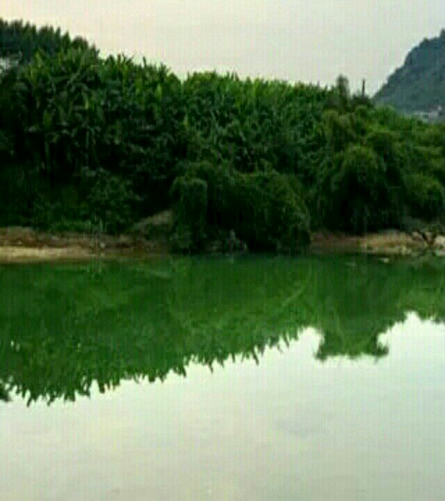 沙颖河十里沟段钓场