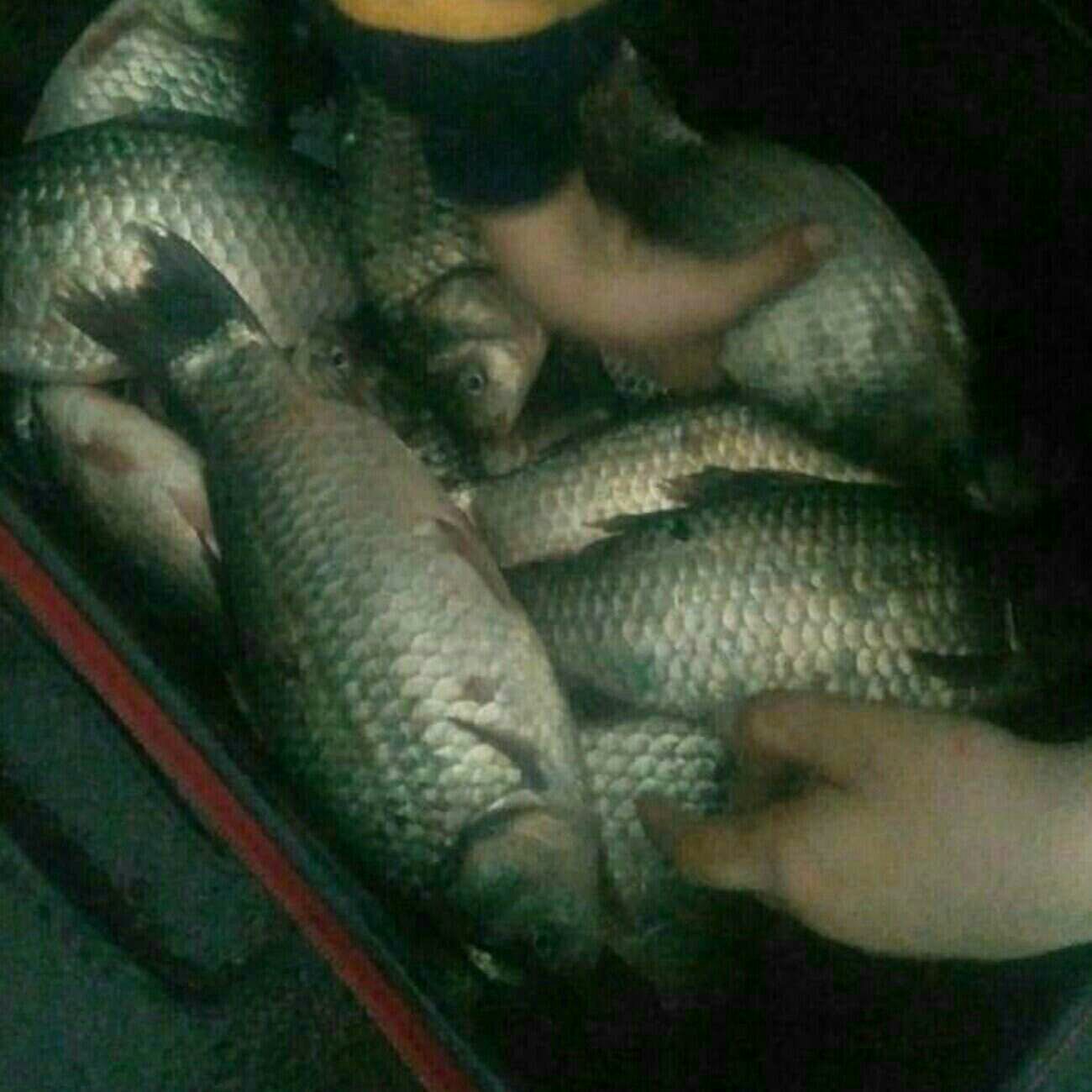 飞虹巨物垂钓中心