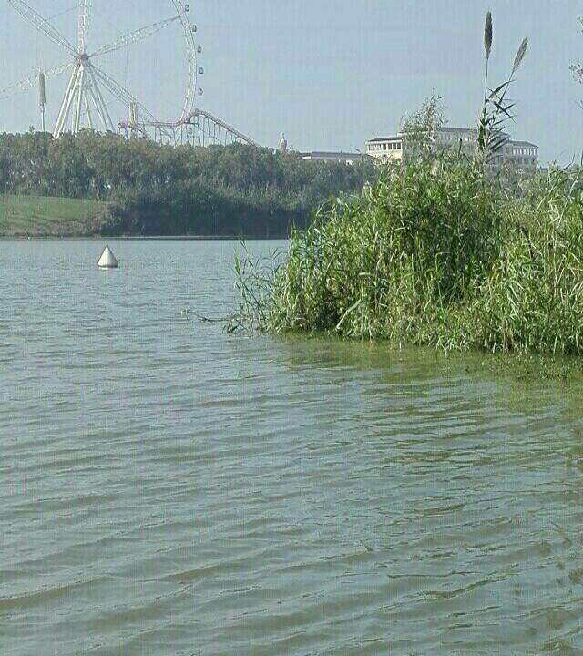 沙颖河3桥西河湾野钓场