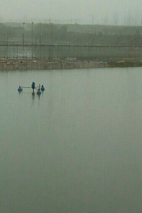 颖东去正午艺博垂钓中心