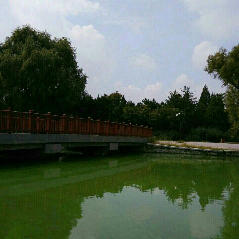 沈阳北陵公园钓点