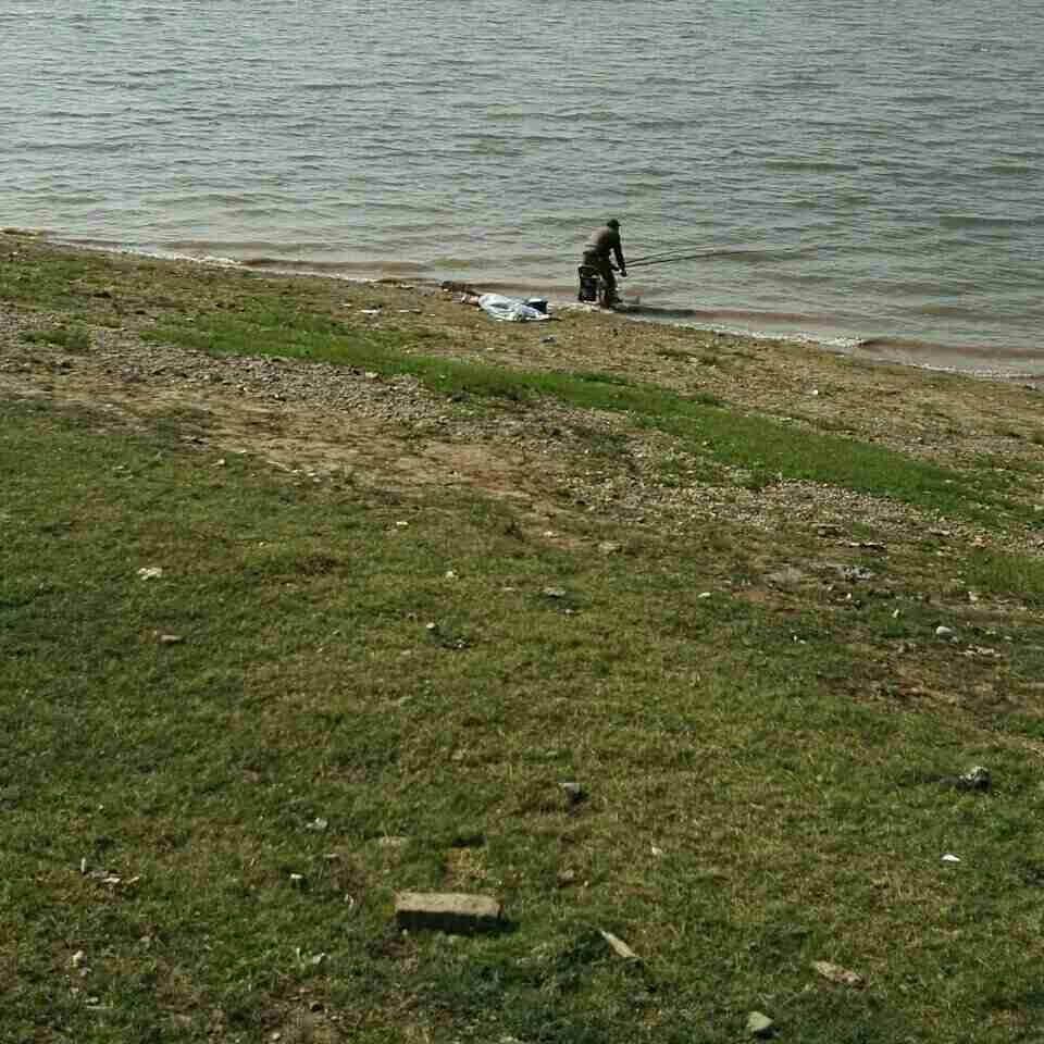 上车湾镇老江河江豚保护区