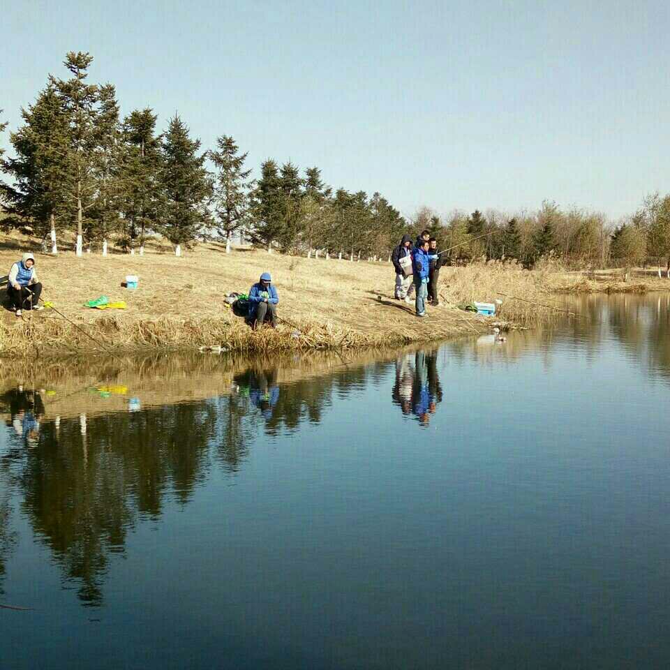 蒲河秋家桥钓点