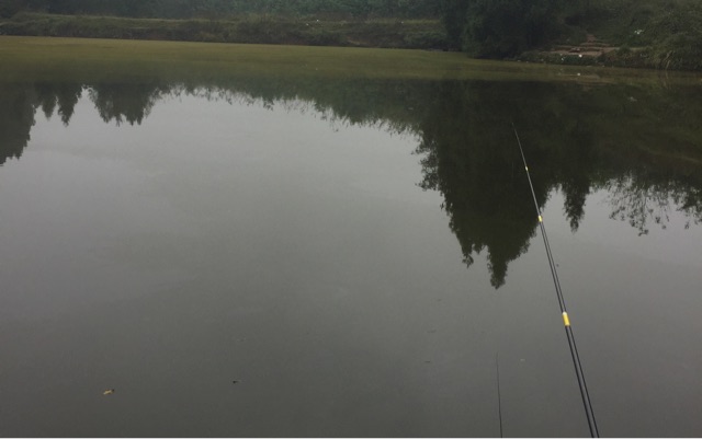 仪陇柴井何家梁水库