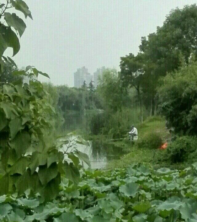 大宁庄垂钓中心