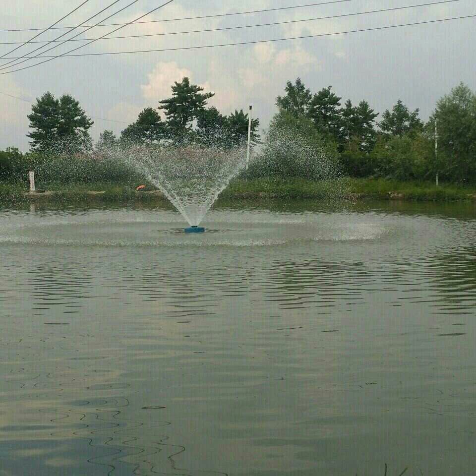 回澜十大队鱼塘