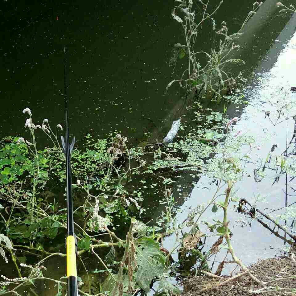 泗村店干渠上游
