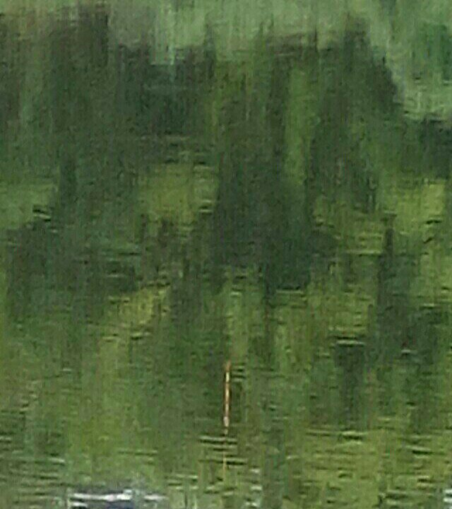 莲花十二队水库