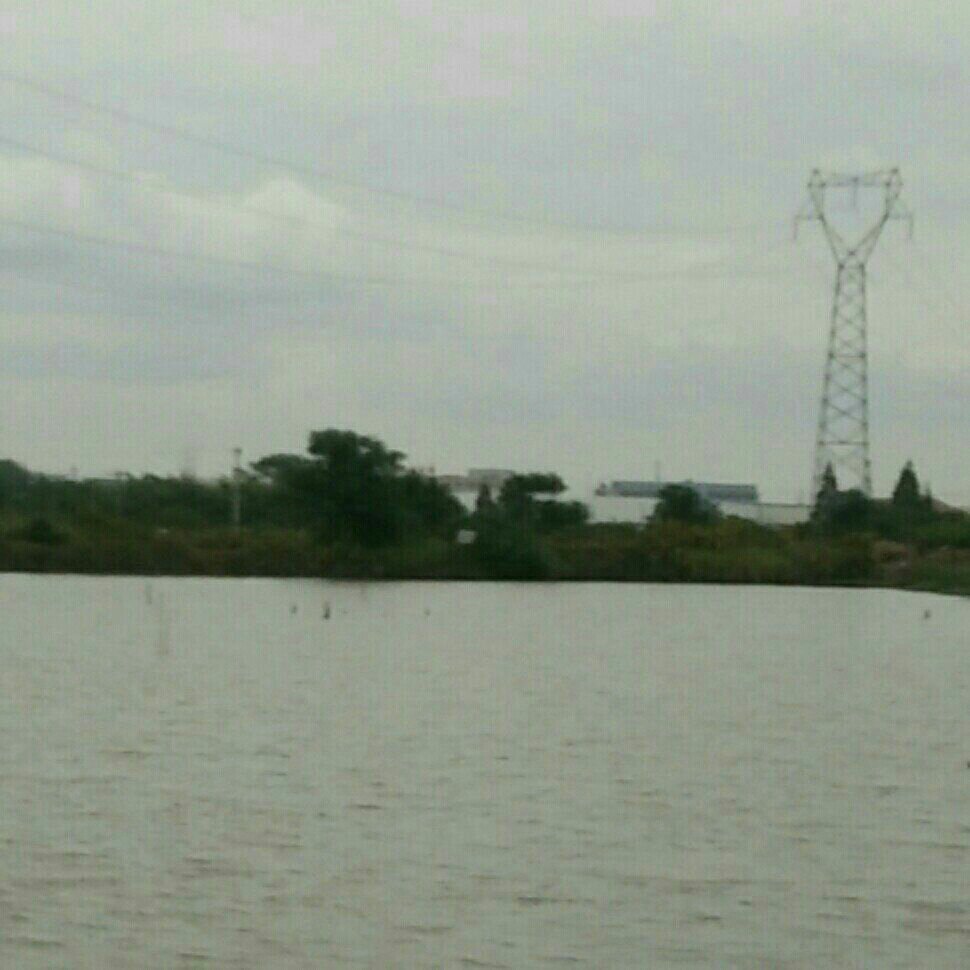 金稻田北临无名钓场