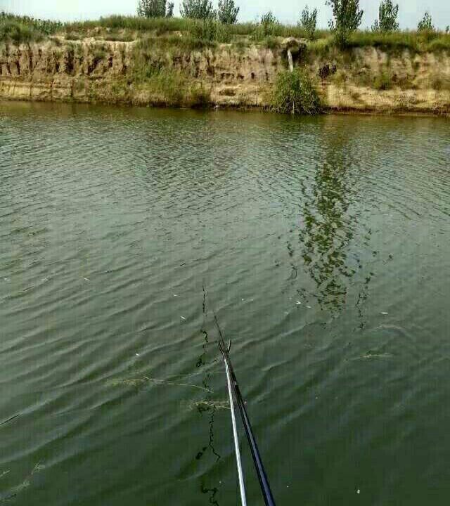 郝庄东洼