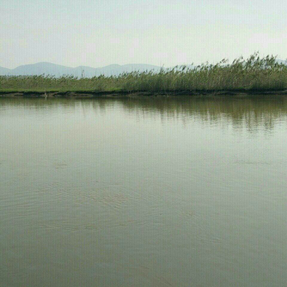 黄湓河