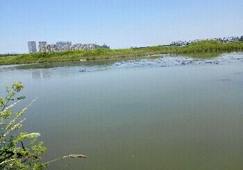 淮河段铁路桥下钓场