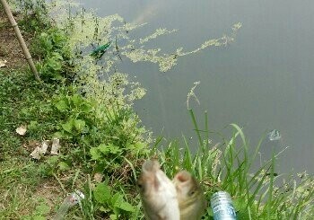 浍河三里湾支流