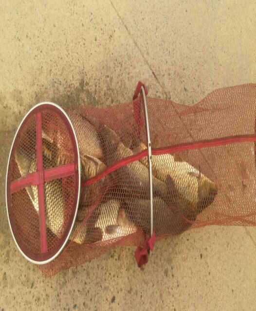 黄梁梦垂钓园（老曹炖鸡）