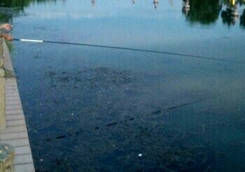 多浪公园多浪河