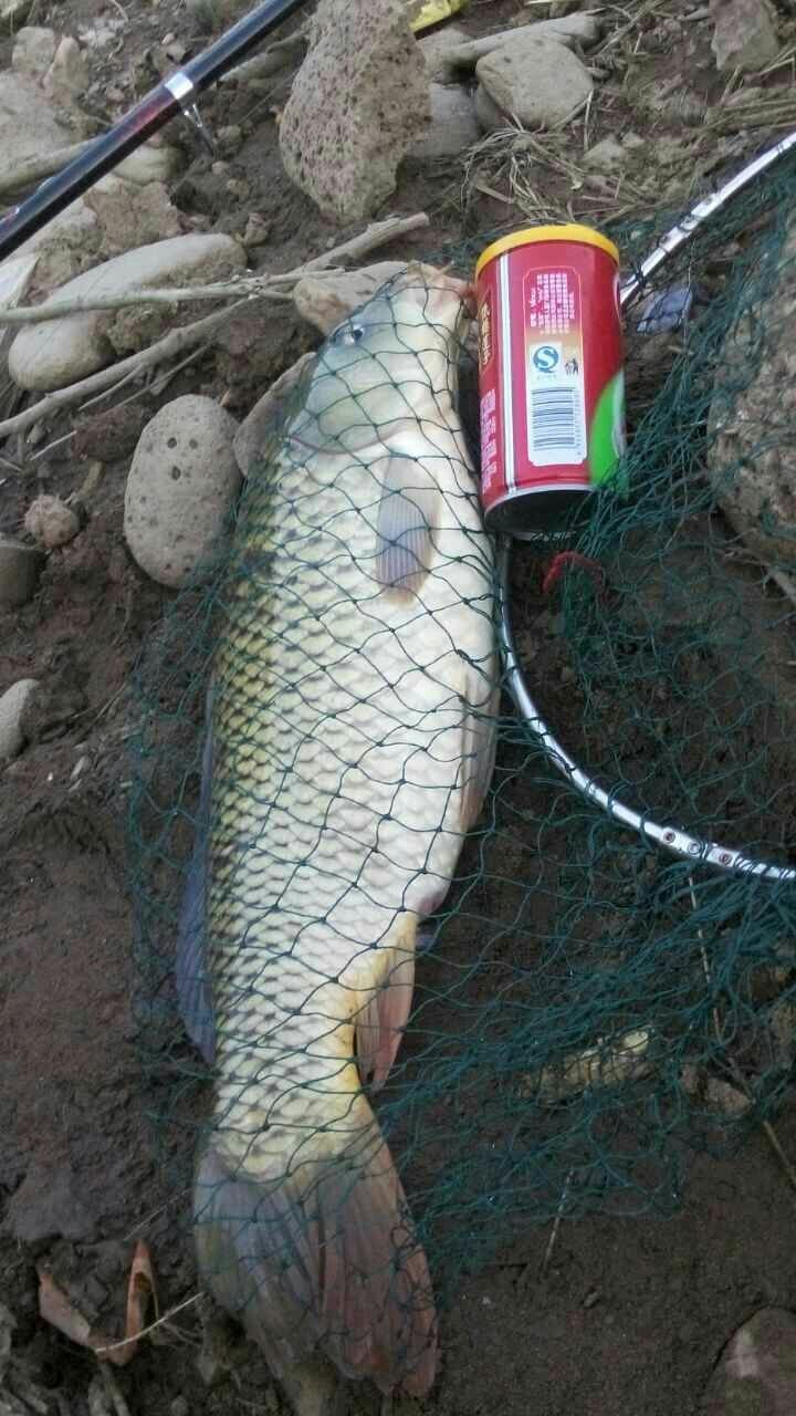 下巴里河口钓场