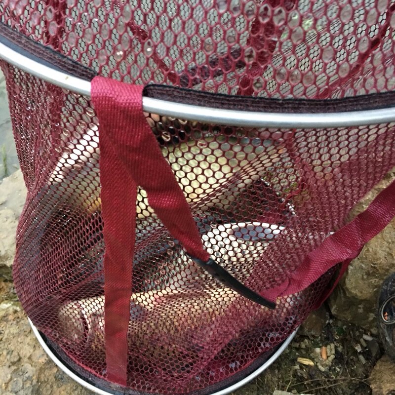 九龙山森林公园水库