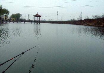 野岗埠鱼塘