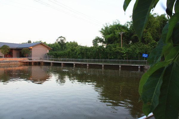 江姐故乡第一庄