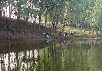 马店野生鱼塘