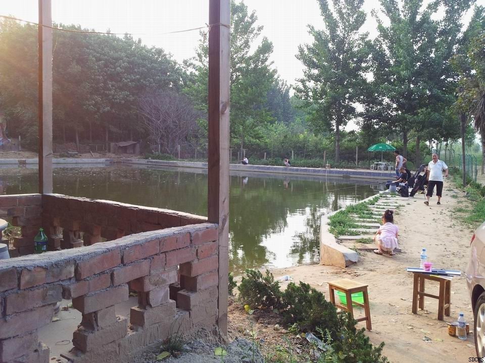 商水家和家庭农场