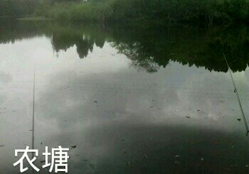 叉叉河水库