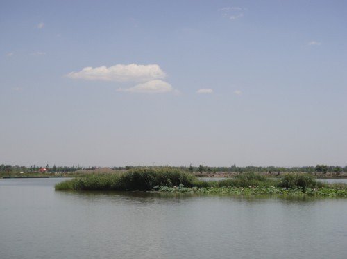 黄河楼野鱼村农家乐