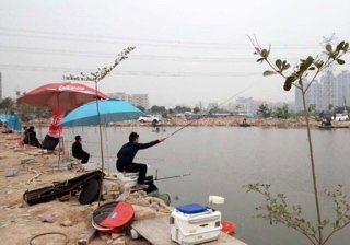晋雅花木场钓场