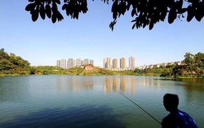 九龙公园垂钓中心