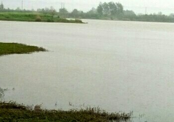 天高大桥秦栏河