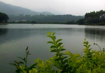 克拉克瓷遗址寨河水库