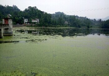 杨沟水库