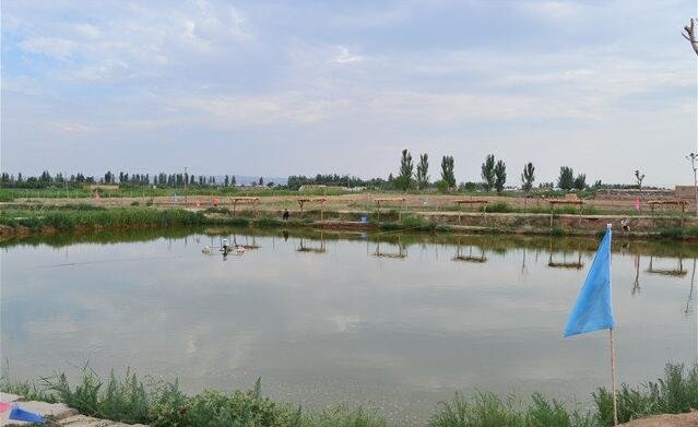 无名休闲垂钓中心