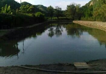 西苏家河鱼池