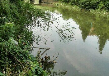 三码头电排水库