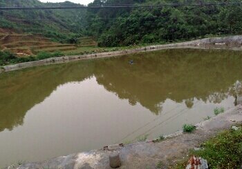 田坑钓鱼场