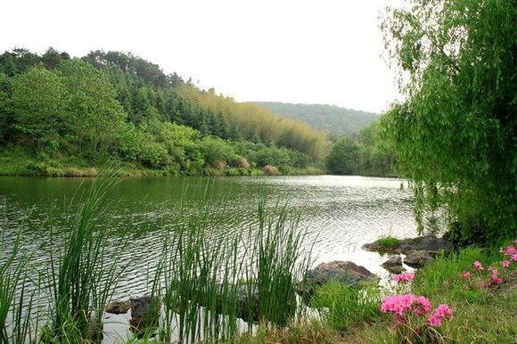 鹤山水库