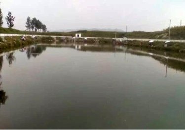 卧牛石河东垂钓园