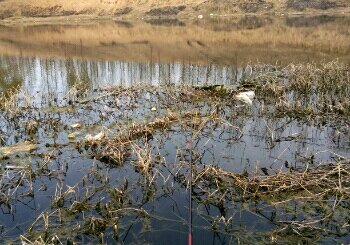 聚村东头回目沟
