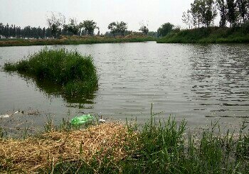 邢家庄东侧钓鱼场