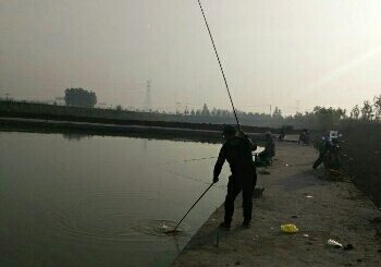 西朱钓友钓场