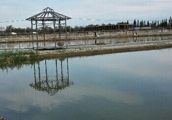 天缘风光家庭农场