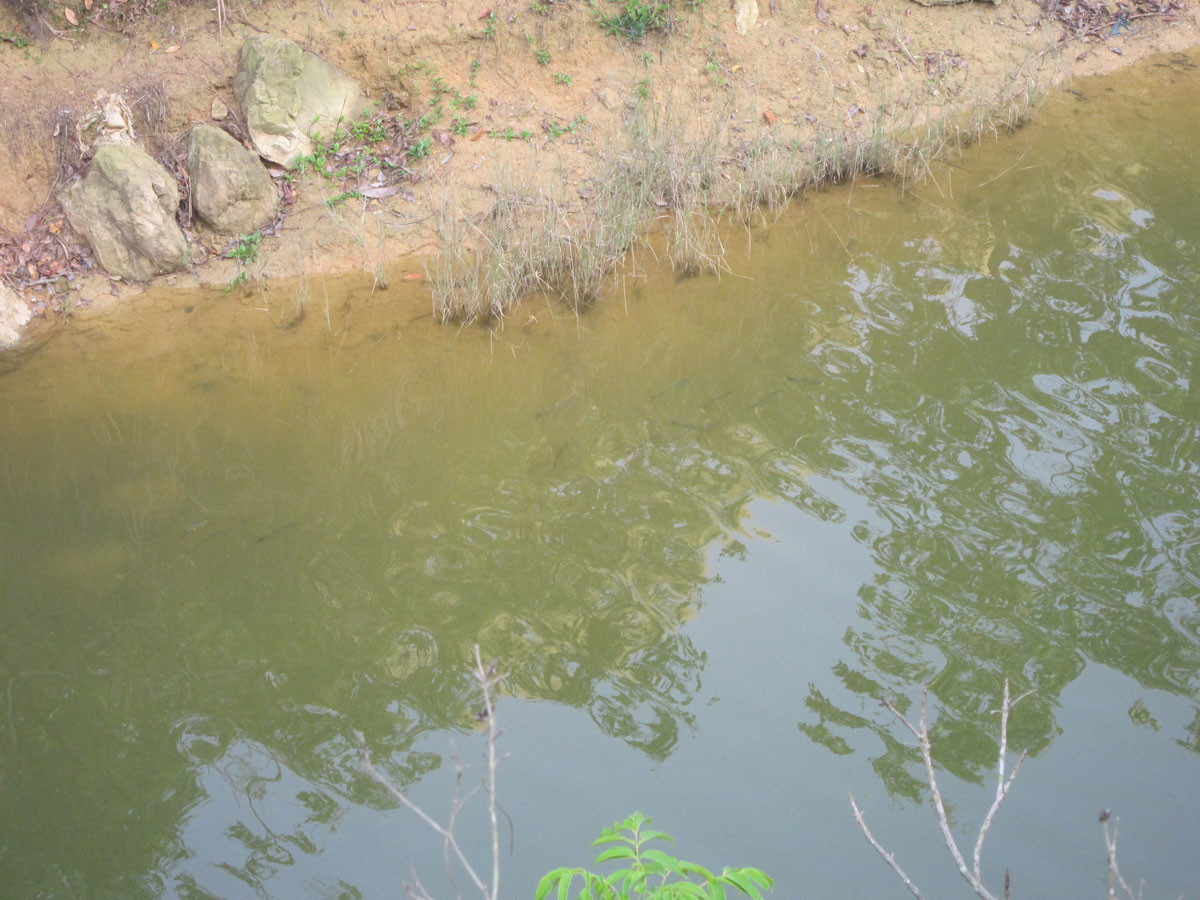 马鞭稍水库