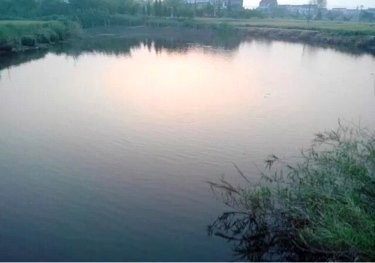 刘家桥休闲垂钓中心