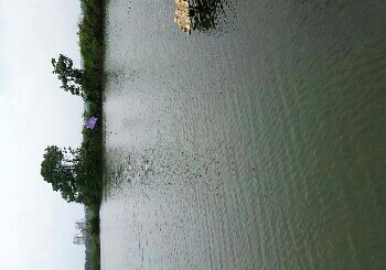 人人渔垂钓中心