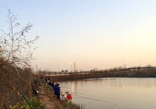 西沽鱼塘