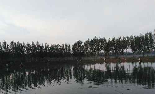 清水湾国际路亚钓场