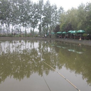 小亮垂钓园