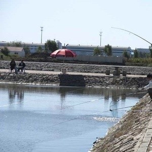 七里海原生态垂钓基地